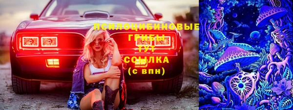 ECSTASY Баксан
