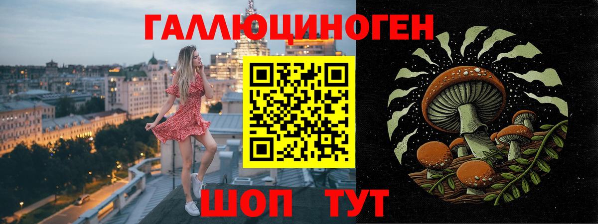 Галлюциногенные грибы мицелий  Вход с VPN  Галлюциногенные грибы Psilocybine cubensis  Междуреченск 