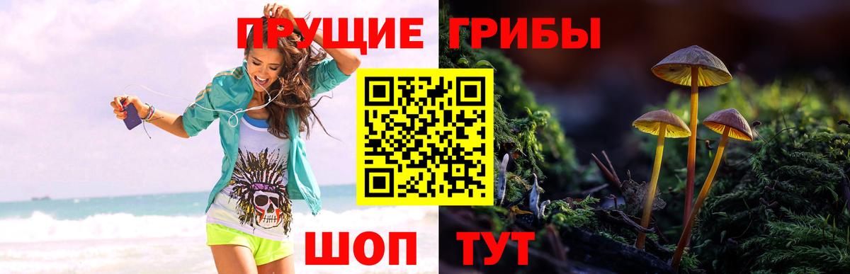 Галлюциногенные грибы Cubensis Междуреченск