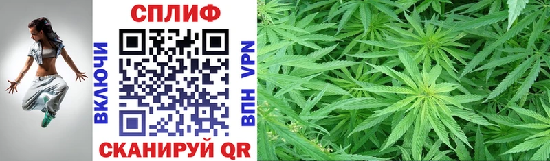 Бошки Шишки SATIVA & INDICA Междуреченск